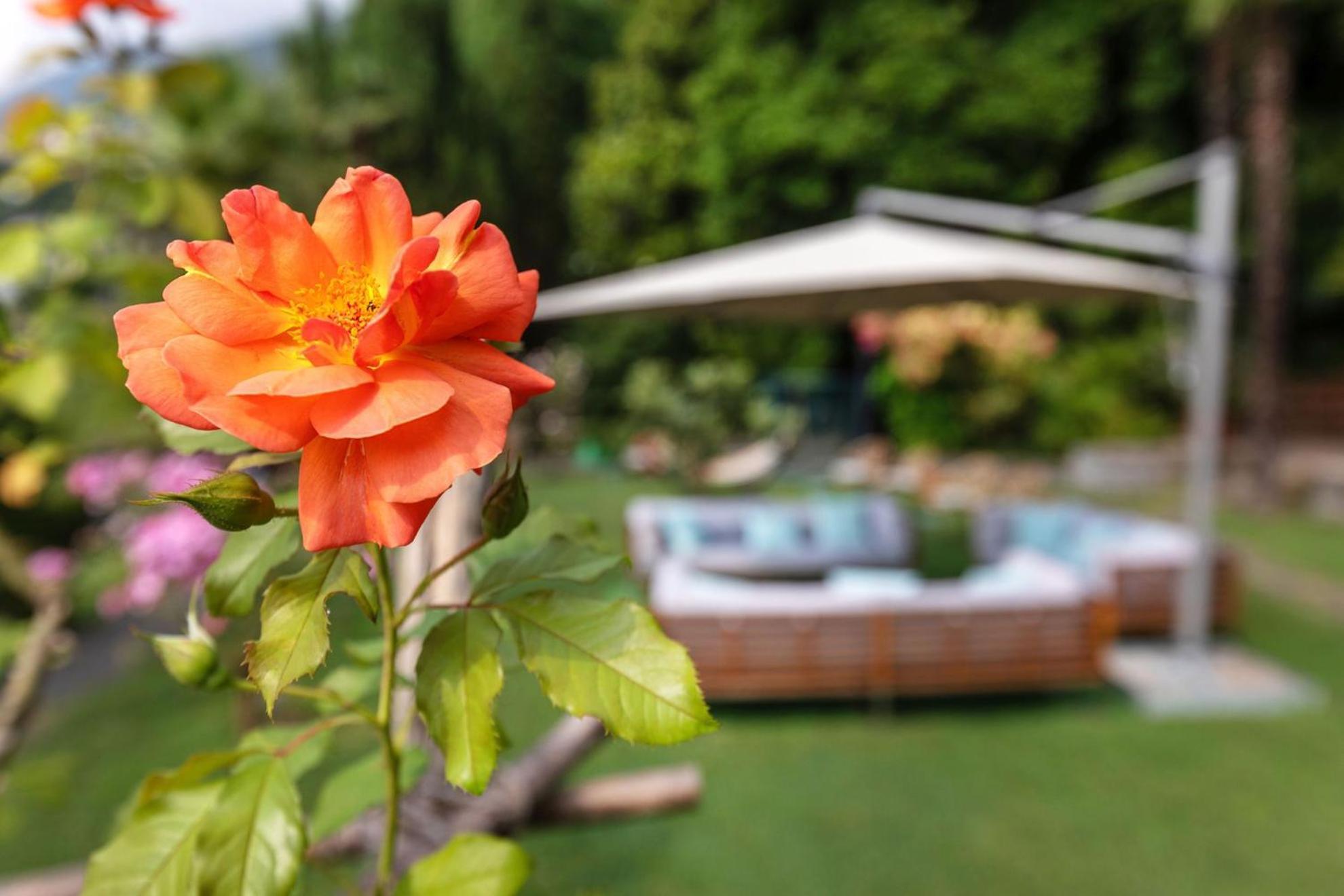 Parkhotel Brenscino Brissago Buitenkant foto